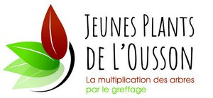 Logo pepinieres-ousson