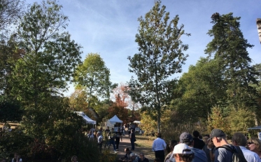 Arboretum des Barres : Fêtes des plantes