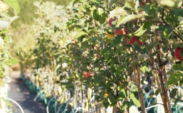 La biodiversité commence aussi dans nos jardins